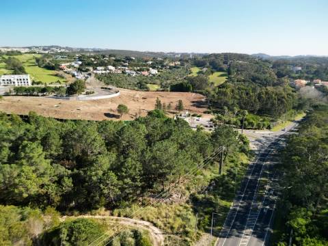 Terreno 10.006 m2 na entrada do Belas Clube de Campo, Sintra