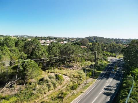 Terreno 10.006 m2 na entrada do Belas Clube de Campo, Sintra