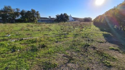 Excelente terreno urbano para construção, na marginal Montijo