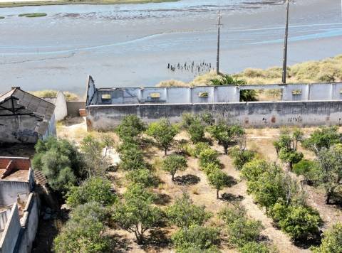 Excelente terreno urbano para construção, na marginal Montijo