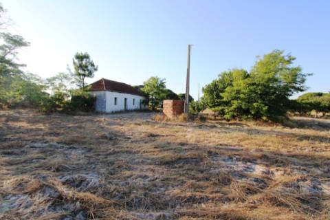 Quinta com 40.000m2 em Olhos de Água, Palmela