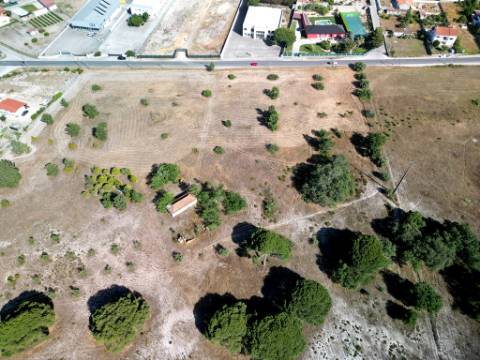 Quinta com 40.000m2 em Olhos de Água, Palmela