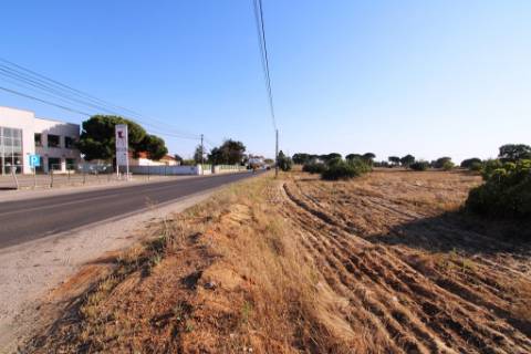 Quinta com 40.000m2 em Olhos de Água, Palmela