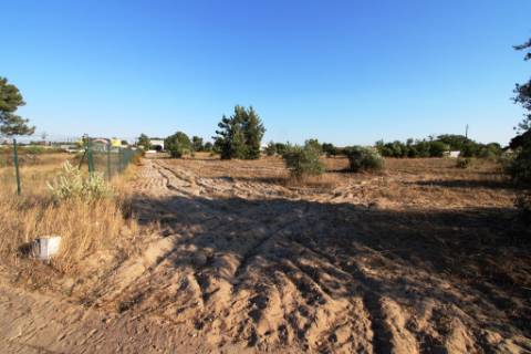 Quinta com 40.000m2 em Olhos de Água, Palmela