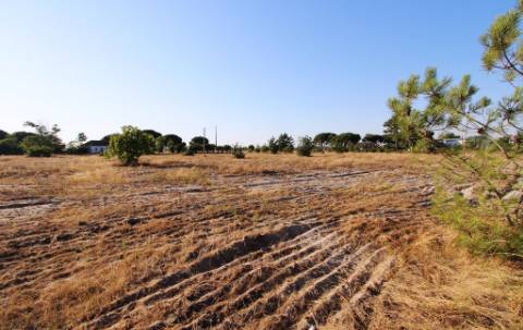 Quinta com 40.000m2 em Olhos de Água, Palmela