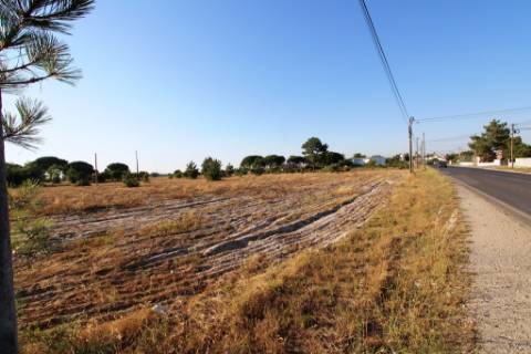 Quinta com 40.000m2 em Olhos de Água, Palmela