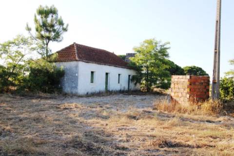 Quinta com 40.000m2 em Olhos de Água, Palmela