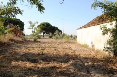 Quinta com 40.000m2 em Olhos de Água, Palmela