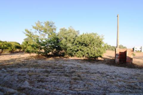 Quinta com 40.000m2 em Olhos de Água, Palmela