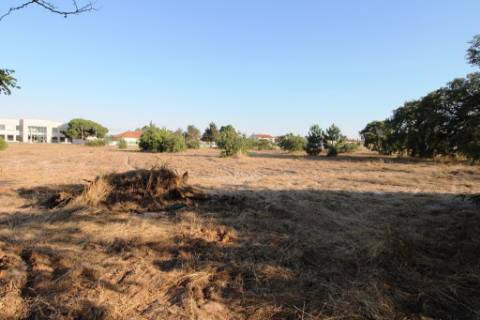 Quinta com 40.000m2 em Olhos de Água, Palmela