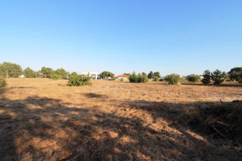 Quinta com 40.000m2 em Olhos de Água, Palmela