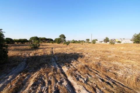 Quinta com 40.000m2 em Olhos de Água, Palmela