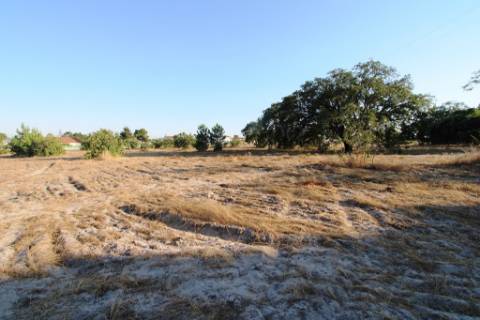 Quinta com 40.000m2 em Olhos de Água, Palmela