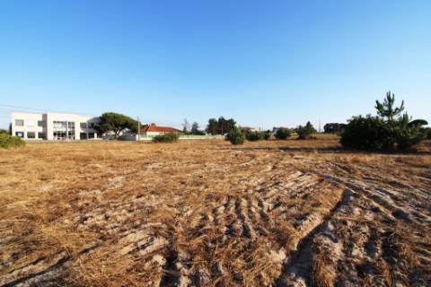 Quinta com 40.000m2 em Olhos de Água, Palmela