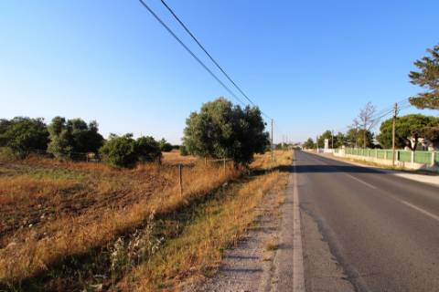 Quinta com 40.000m2 em Olhos de Água, Palmela