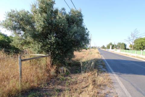 Quinta com 40.000m2 em Olhos de Água, Palmela