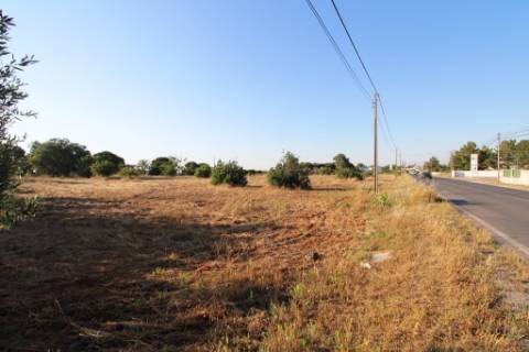 Quinta com 40.000m2 em Olhos de Água, Palmela