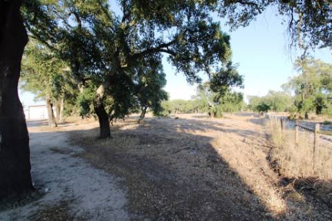 Quinta com 40.000m2 em Olhos de Água, Palmela