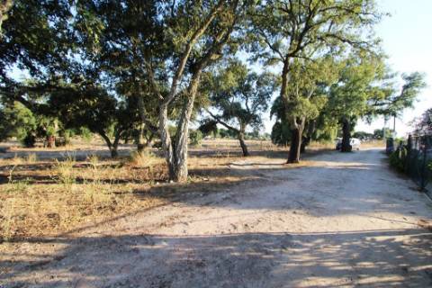 Quinta com 40.000m2 em Olhos de Água, Palmela