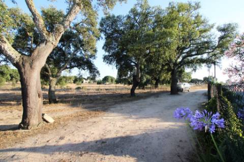 Quinta com 40.000m2 em Olhos de Água, Palmela