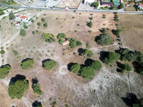 Quinta com 40.000m2 em Olhos de Água, Palmela