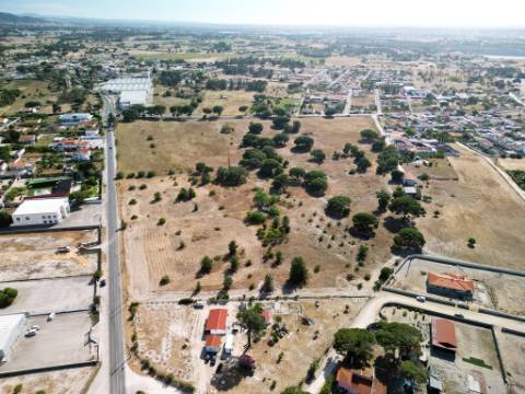 Quinta com 40.000m2 em Olhos de Água, Palmela