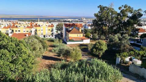 Terreno de 2455m2 com PIP para construção de prédio com 4 apartamentos e piscina, em Sobralinho, Alverca