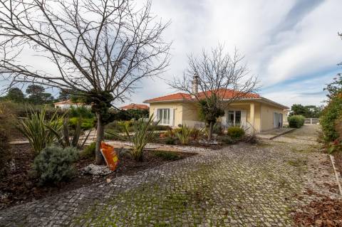 Moradias térreas T3 e T1, piscina, lote 5.250m2, Meco, Sesimbra