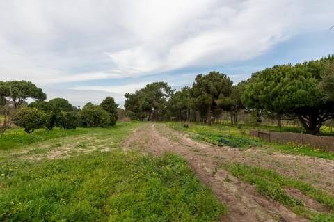 Moradias térreas T3 e T1, piscina, lote 5.250m2, Meco, Sesimbra