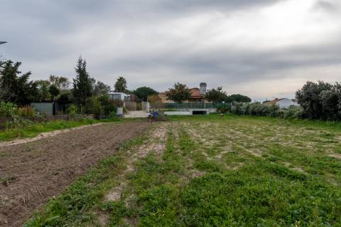 Moradias térreas T3 e T1, piscina, lote 5.250m2, Meco, Sesimbra