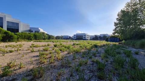 Lote de terreno para construção com 4906m2, na Quinta da Beloura, Sintra