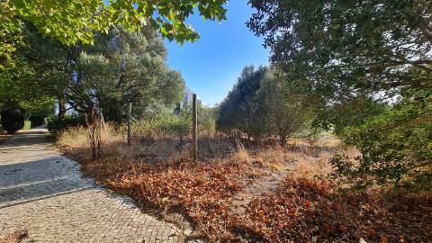 Lote de terreno para construção com 4906m2, na Quinta da Beloura, Sintra