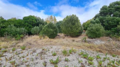 Lote de terreno para construção com 4906m2, na Quinta da Beloura, Sintra