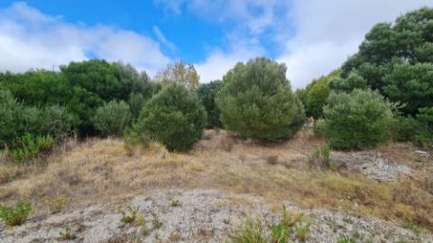 Lote de terreno para construção com 4906m2, na Quinta da Beloura, Sintra