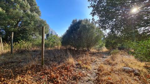 Lote de terreno para construção com 4906m2, na Quinta da Beloura, Sintra
