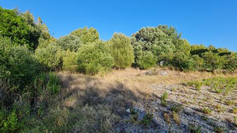 Lote de terreno para construção com 4906m2, na Quinta da Beloura, Sintra