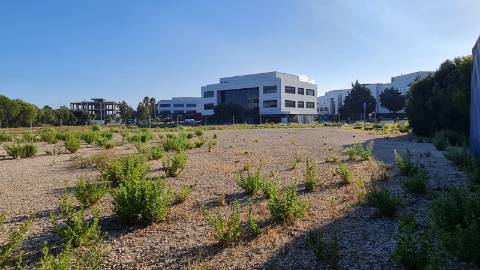 Lote de terreno para construção com 4906m2, na Quinta da Beloura, Sintra