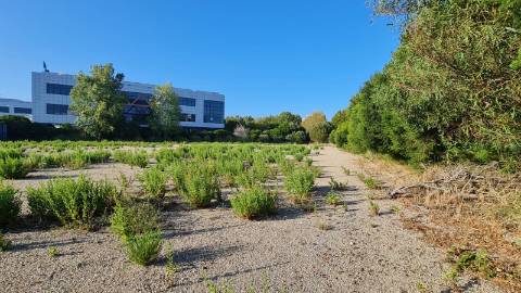 Lote de terreno para construção com 4906m2, na Quinta da Beloura, Sintra