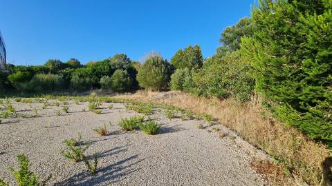 Lote de terreno para construção com 4906m2, na Quinta da Beloura, Sintra