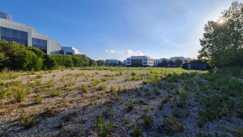 Lote de terreno para construção com 4906m2, na Quinta da Beloura, Sintra