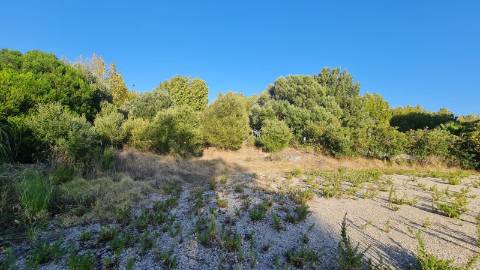 Lote de terreno para construção com 4906m2, na Quinta da Beloura, Sintra