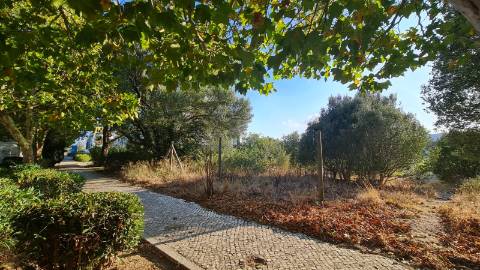 Lote de terreno para construção com 4906m2, na Quinta da Beloura, Sintra