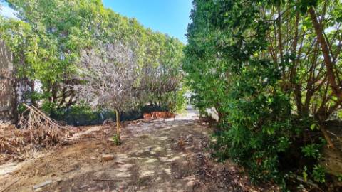 Moradia T6, lote 915m2, próxima da praia, na Parede, Cascais