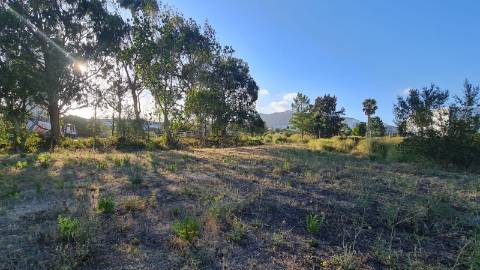 Lote de terreno para construção com 14.885m2, frente estrada principal, na Quinta da Beloura, Sintra