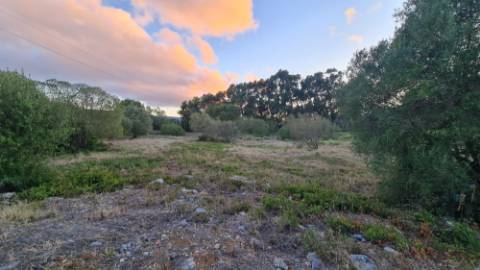 Lote de terreno para construção com 14.885m2, frente estrada principal, na Quinta da Beloura, Sintra