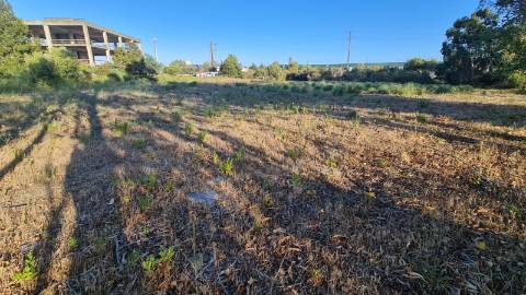 Lote de terreno para construção com 14.885m2, frente estrada principal, na Quinta da Beloura, Sintra