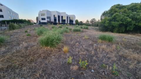 Lote de terreno para construção com 5932m2, frente estrada principal, na Quinta da Beloura, Sintra