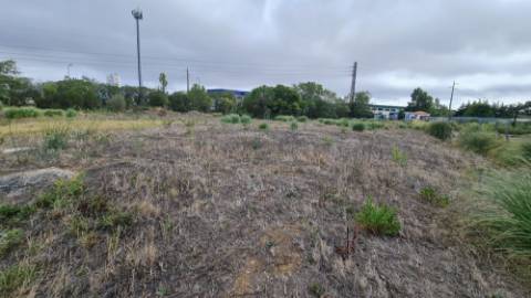 Lote de terreno para construção com 5932m2, frente estrada principal, na Quinta da Beloura, Sintra