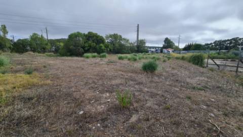 Lote de terreno para construção com 5932m2, frente estrada principal, na Quinta da Beloura, Sintra
