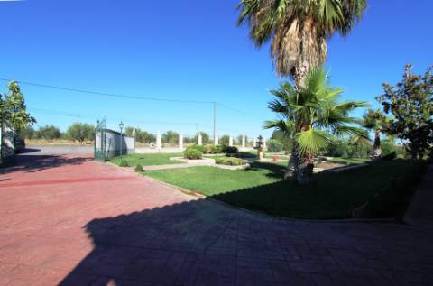 Quinta com moradia T4, piscina com jardim, garagem e vinhas, em Campo Maior